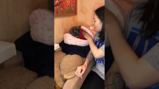 СИМБА «Новый Год» 4 смотреть онлайн