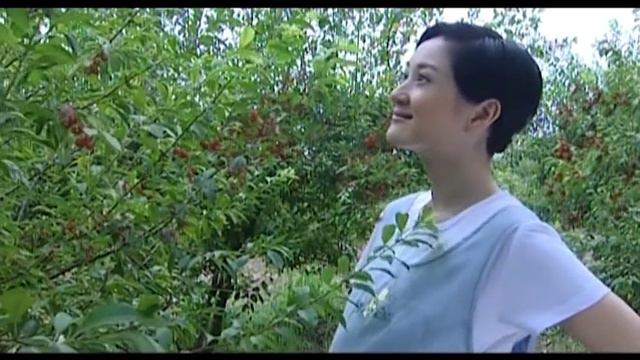 大结局：灰姑娘終於和總裁走到一起，前夫也有了新家庭！ смотреть онлайн