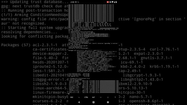 Arch Linux ARM Chroot Setup On Android!