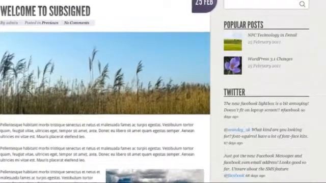 Subsigned - Premium Portfolio WordPress Theme смотреть онлайн