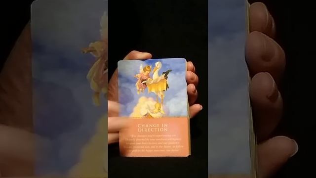 Daily Guidance From Your Angels Oracle Cards And Book Set Complete Unboxing And Review Video смотреть онлайн