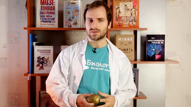 Секреты Креатива