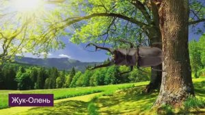 Мультики для детей и малышей, учим название насикомых, звуки насикомых.