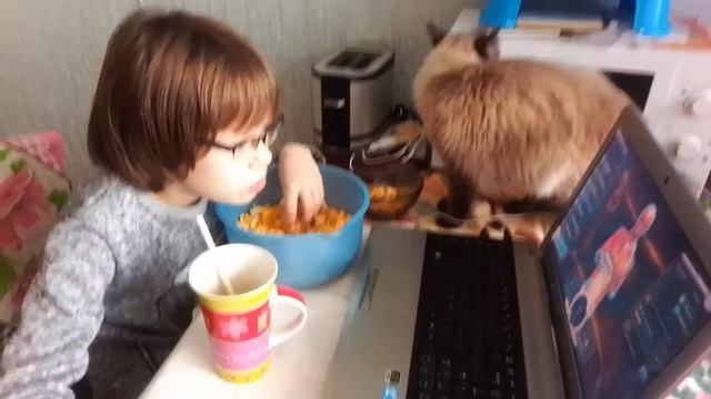 Попкорн "Chico Rico" из "Магнита". Едят даже кошки! смотреть онлайн