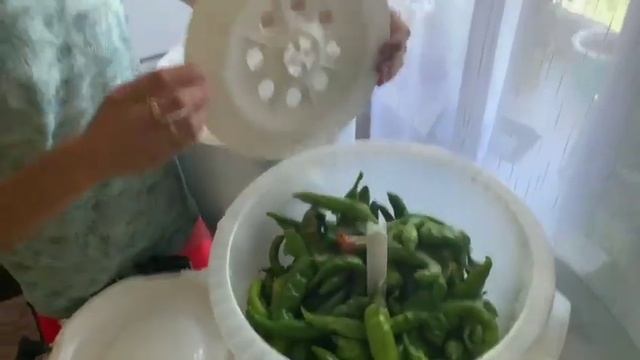 Салаты с Кинзой