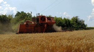 Комбайн СК-5 «Нива». Уборка урожая 2019.