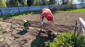 Когда самому лень копать: завёл помощника - культиватор Greenworks. Тест-драйв, выводы