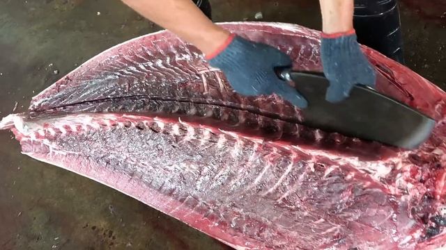 World's No.1 Skills / 300KG Giant Bluefin Tuna Cutting Sashimi