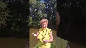 Дерево упало на забор. Кто отвечает? Ответ здесь!