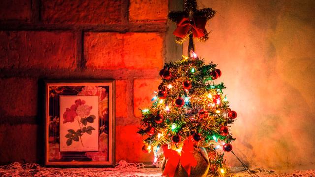 Анастасия влоги студентки/Медийные новости. смотреть онлайн