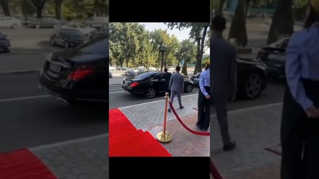 Саша белый и Фара #бригада #звезды #uzbekistan смотреть онлайн