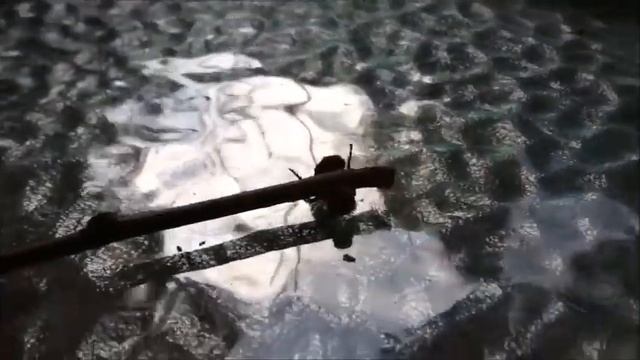 Жало бархатного муравья смотреть онлайн