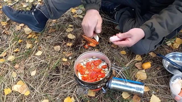 Осенний ПВД / Лесная кухня/нашёл один гриб и тут же его съел смотреть онлайн