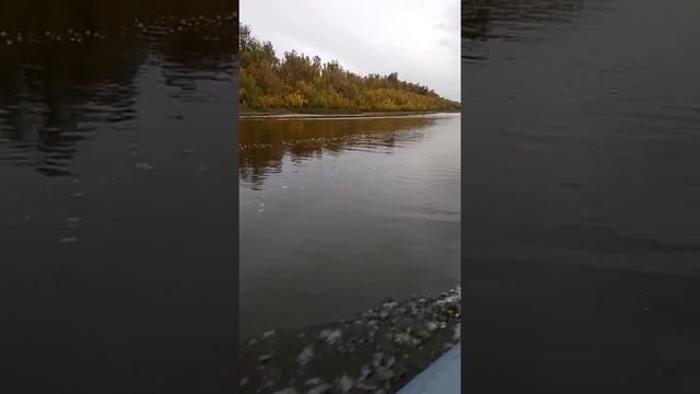 VID 20180925 161620 смотреть онлайн