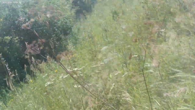 Найком Арена г.Наб.Челны 13.08.2022. лайт 5 место. смотреть онлайн