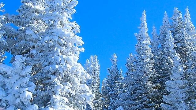 Кругом бело... смотреть онлайн