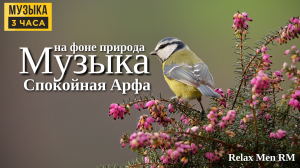 Спокойная музыка - Арфа - Фоновая музыка для души, сна, медитации на фоне природа