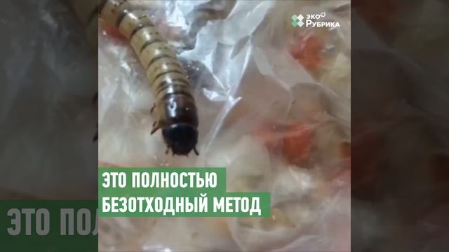 Как старшеклассница из Украины придумала революционный метод утилизации полиэтилена смотреть онлайн