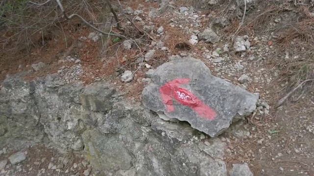 Крым за два дня, белая скала, Новый свет и Ялта смотреть онлайн