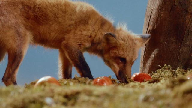 TXT (투모로우바이투게더) Minisode 3: TOMORROW - Concept Clip 'Light'