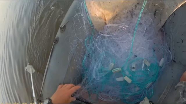 Рыбалка сплавной сетью с ДВУМЯ НАПЛАВАМИ. смотреть онлайн