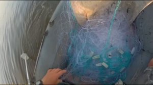 Рыбалка сплавной сетью с ДВУМЯ НАПЛАВАМИ.