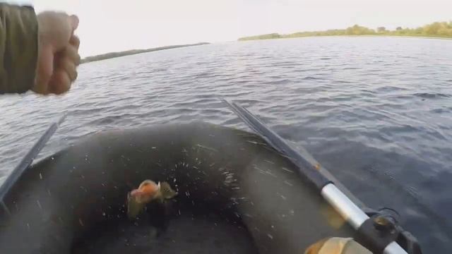 ПОПАЛ НА РАЗДАЧУ КРУПНОГО ОКУНЯ В ИЮЛЕ. ЛОВЛЯ НА ТЕЛИК. смотреть онлайн