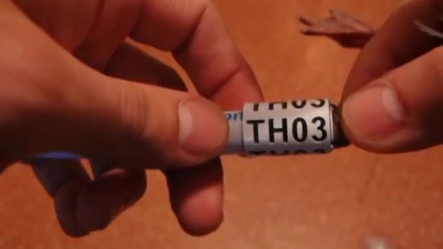 How to colour-ring Black-headed gull (Larus ridibundus) смотреть онлайн