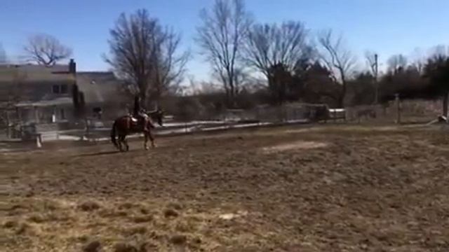 Fritz 2/17 смотреть онлайн