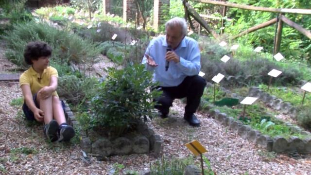 SEGRETI IN GIARDINO - DICTAMNUS ALBUS смотреть онлайн