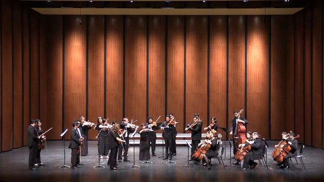 Albinoni "Adagio" Brownsville Sinfonia Chamber Players, Dr. Betul Soykan смотреть онлайн