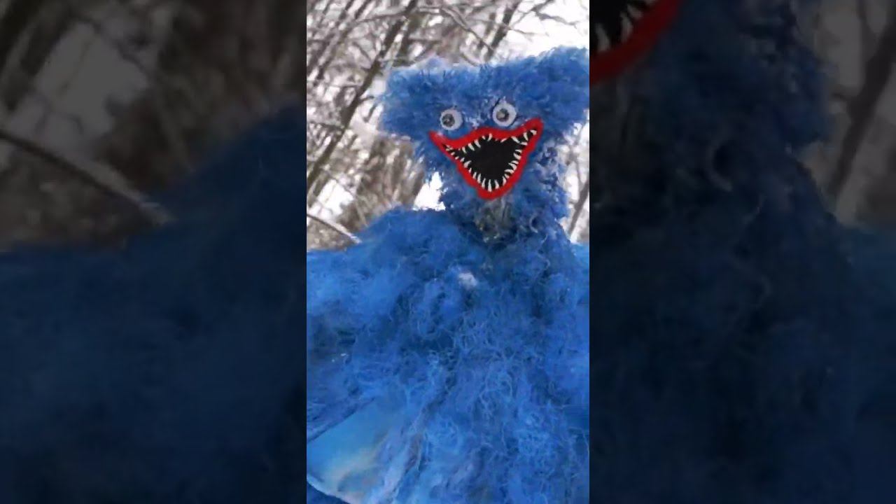 Хаги Ваги в реальной жизни напал на нас! смотреть онлайн