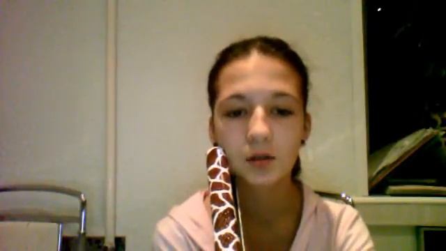 Видео с веб-камеры. Дата: 9 ноября 2013 г., 18:36. смотреть онлайн