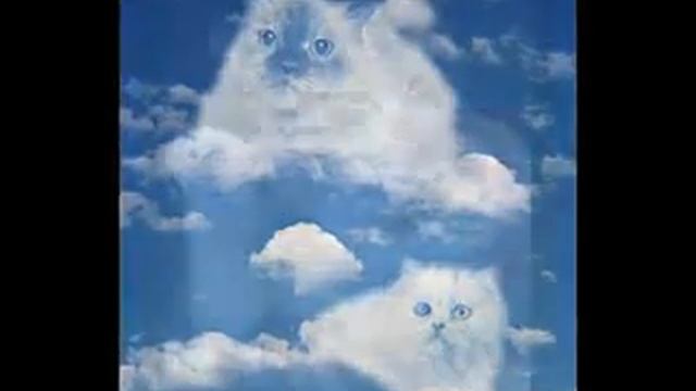ТЁПЛЫЕ КОТЫ гр ФЛЁР смотреть онлайн
