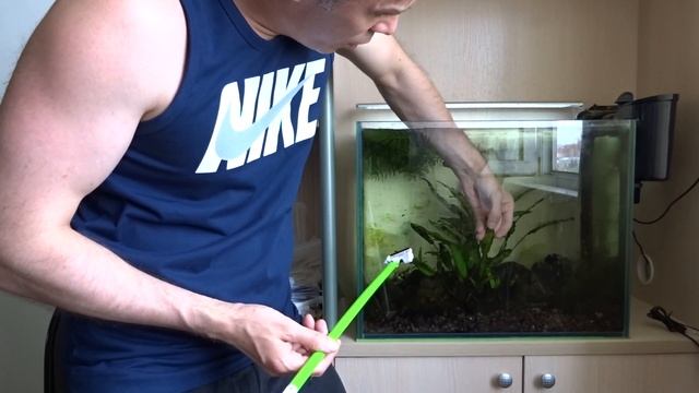 #11 Борьба с сине-зелеными водорослями и дальнейшие планы смотреть онлайн