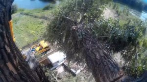 Спилить дерево с помощью крана. ОШИБКА АРБОРИСТА.#Арбористика [SamArbo] FAIL. SLING CRASH