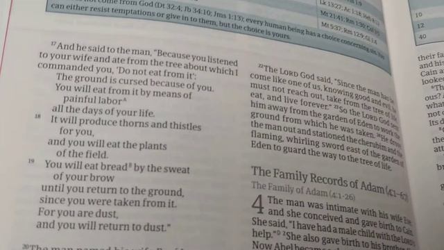 CSB Study Bible for Women Review #Holman смотреть онлайн