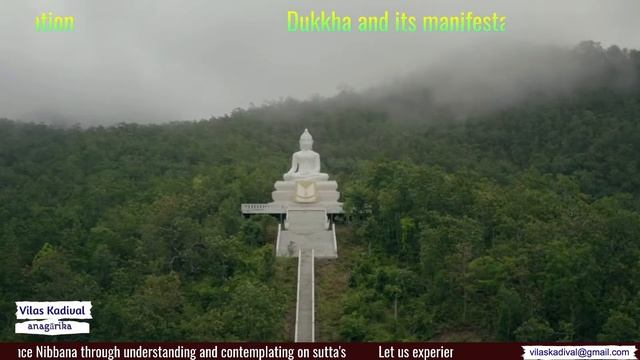 All about Dukkha смотреть онлайн