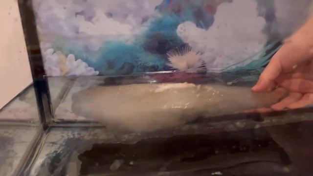 Анна из 2 "Э" о том, почему айсберг не тонет смотреть онлайн