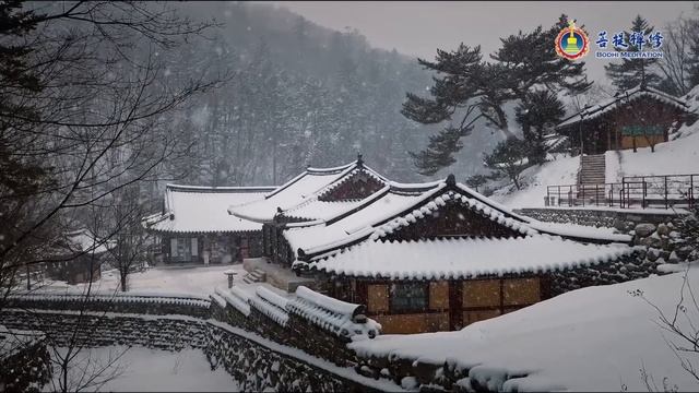 1 Hour Relaxing Sleep Music | “Life Is a Dream” (Healing Series) #SingingBowls смотреть онлайн