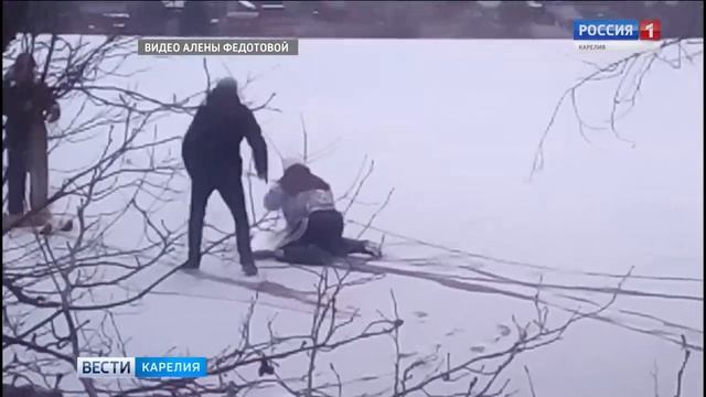 Пойманный в Вешкелице лебедь не выжил смотреть онлайн