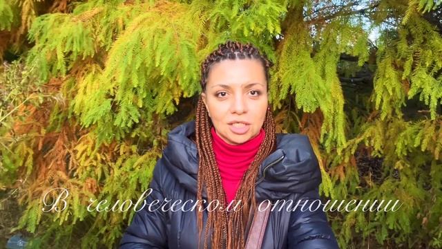 Стих А Вознесенский В человеческом организме смотреть онлайн