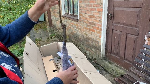 "Отзыв Агромаркет (відгук)" смотреть онлайн