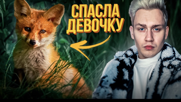 Животные, спасшие жизни людей смотреть онлайн