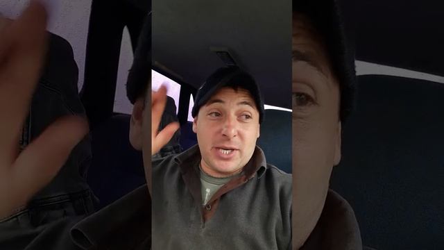 Грибы все съедобные смотреть онлайн
