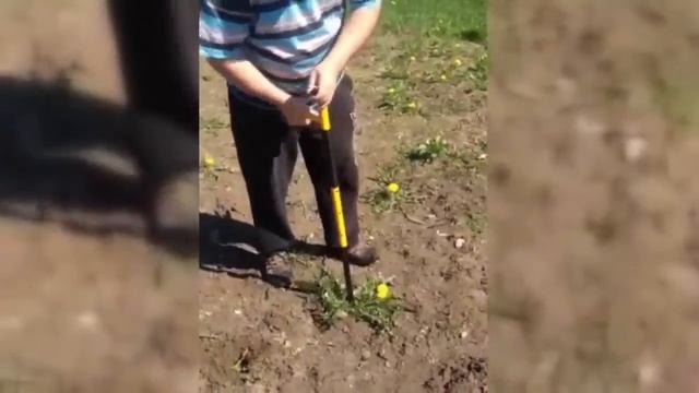 Извлекатель сорняков Торнадика! Самый легкий способ удалить сорняк и обработать землю! смотреть онлайн
