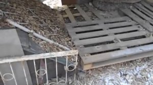 Разведение кроликов в яме. Часть 2. Год спустя.