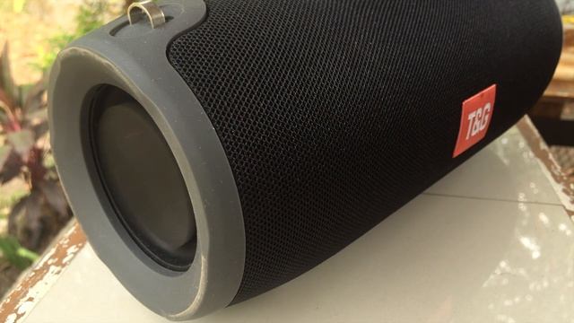 T&G TG 118 Amplifier UPGRADE TEST (TDA7492P)