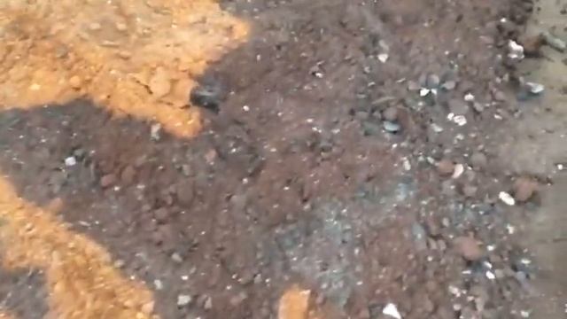 Болотная железная руда смотреть онлайн