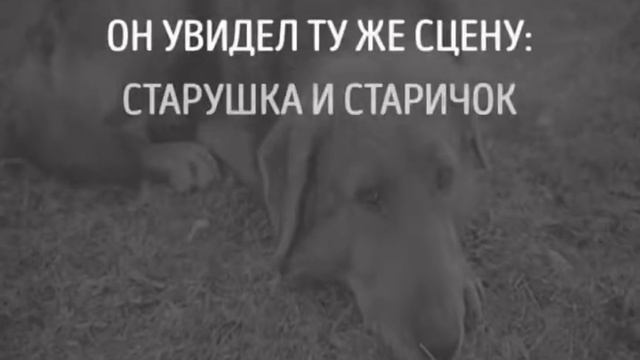 Умейте правильно жить смотреть онлайн